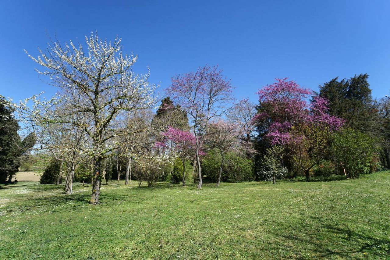Domaine De Lanis - Maison D'Hotes Avec Parc Et Piscine カステルノーダリ エクステリア 写真